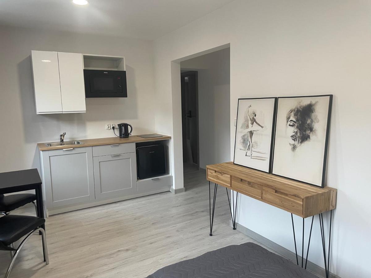 Apartamenty Wisla Centrum Extérieur photo