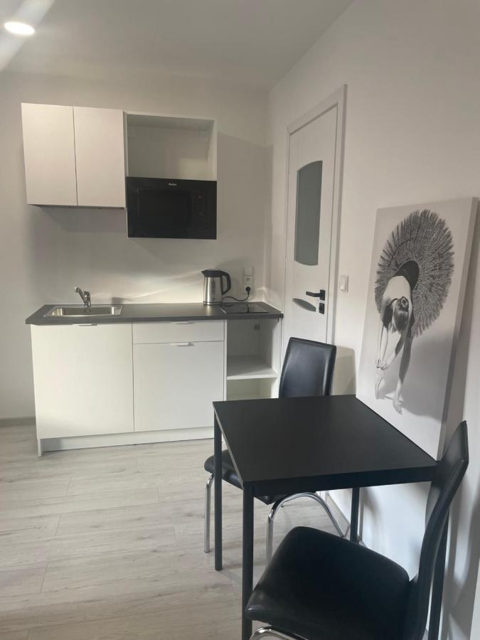 Apartamenty Wisla Centrum Extérieur photo